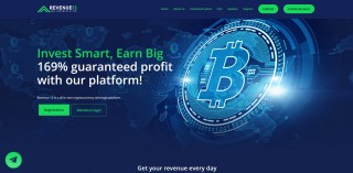 Revenue 13
